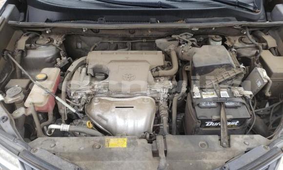 Buy Import Toyota RAV4 Other Car in Daura in Katsina