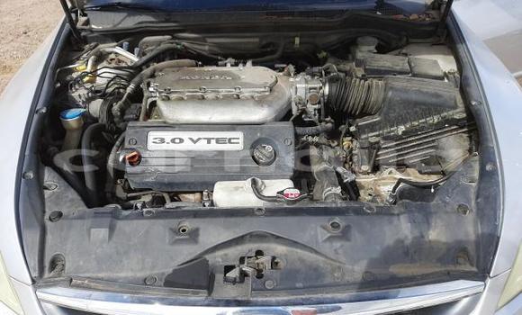 Buy Used Honda Accord Silver Car in Daura in Katsina