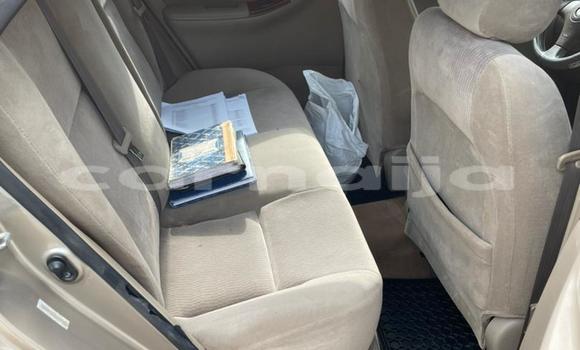 Buy Used Toyota Corolla Other Car in Ipokia in Ogun State