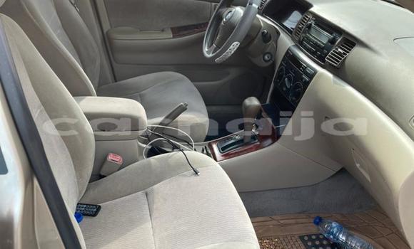 Acheter Occasion Voiture Toyota Corolla Autre à Ipokia, État d'Ogun Acheter Occasion Voiture Toyota Corolla Autre à Ipokia, État d'Ogun