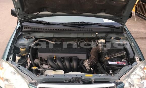 Acheter Import Voiture Toyota Corolla Autre à Ipokia, État d'Ogun Acheter Import Voiture Toyota Corolla Autre à Ipokia, État d'Ogun