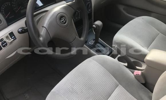 Acheter Import Voiture Toyota Corolla Autre à Ipokia, État d'Ogun Acheter Import Voiture Toyota Corolla Autre à Ipokia, État d'Ogun
