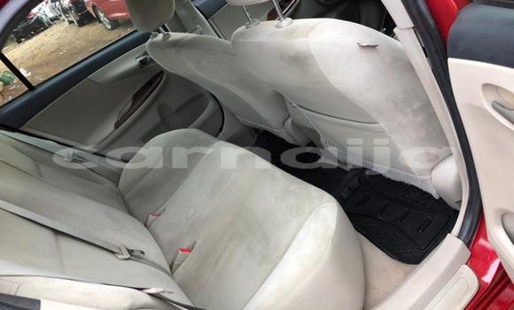 Acheter Occasion Voiture Toyota Corolla Rouge à Ipokia, État d'Ogun Acheter Occasion Voiture Toyota Corolla Rouge à Ipokia, État d'Ogun