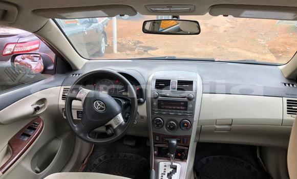 Acheter Occasion Voiture Toyota Corolla Rouge à Ipokia, État d'Ogun Acheter Occasion Voiture Toyota Corolla Rouge à Ipokia, État d'Ogun