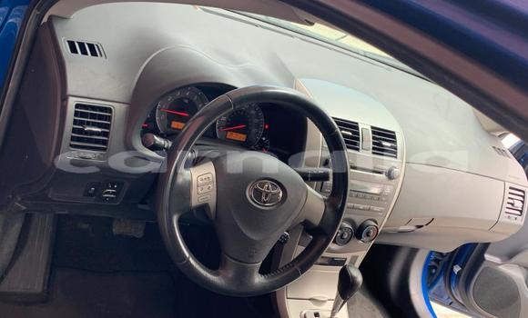 Acheter Occasion Voiture Toyota Corolla Autre à Ipokia, État d'Ogun Acheter Occasion Voiture Toyota Corolla Autre à Ipokia, État d'Ogun