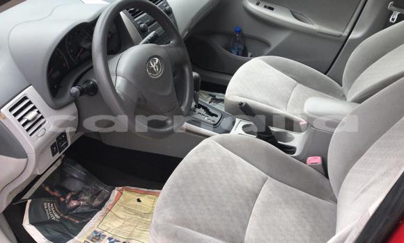 Acheter Occasion Voiture Toyota Corolla Autre à Ipokia, État d'Ogun Acheter Occasion Voiture Toyota Corolla Autre à Ipokia, État d'Ogun