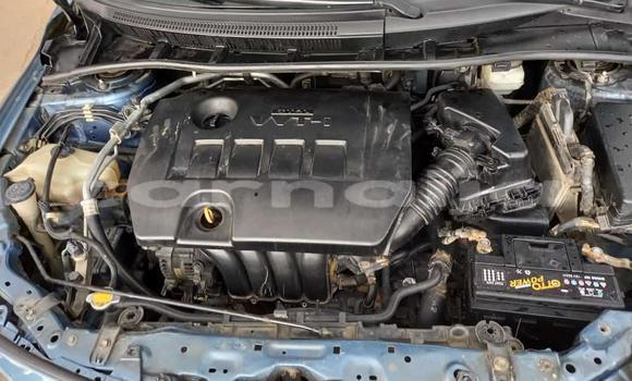 Acheter Occasion Voiture Toyota Corolla Autre à Ipokia, État d'Ogun Acheter Occasion Voiture Toyota Corolla Autre à Ipokia, État d'Ogun