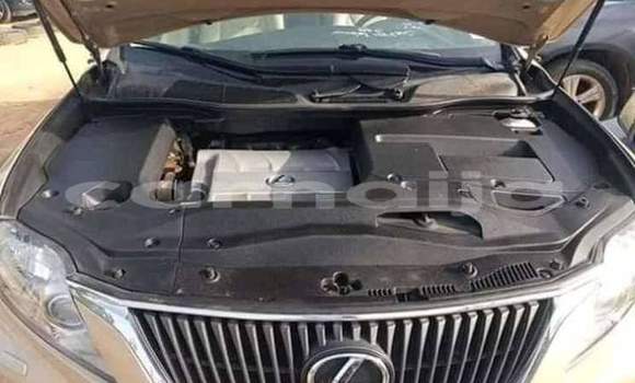 Acheter Import Voiture Lexus RX 330 Autre à Daura, Katsina Acheter Import Voiture Lexus RX 330 Autre à Daura, Katsina