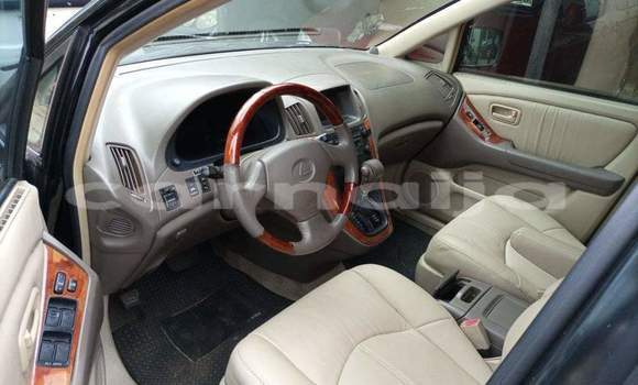 Buy Import Lexus RX 300 Black Car in Daura in Katsina Buy Import Lexus RX 300 Black Car in Daura in Katsina