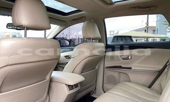 Acheter Import Voiture Toyota Venza Noir à Daura, Katsina Acheter Import Voiture Toyota Venza Noir à Daura, Katsina