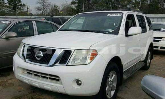 Acheter Import Voiture Nissan Pathfinder Blanc à Daura, Katsina Acheter Import Voiture Nissan Pathfinder Blanc à Daura, Katsina