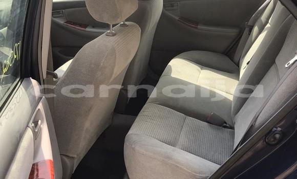 Acheter Occasion Voiture Toyota Corolla Noir à Lagos, État de Lagos Acheter Occasion Voiture Toyota Corolla Noir à Lagos, État de Lagos