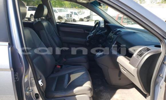 Acheter Neuf Voiture Honda CR–V Gris à Badagry, État de Lagos Acheter Neuf Voiture Honda CR–V Gris à Badagry, État de Lagos