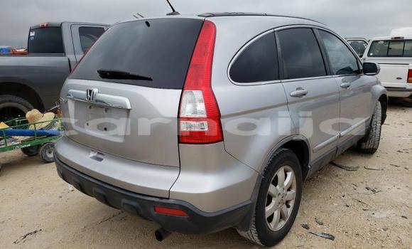Buy New Honda CR–V Silver Car in Badagry in Lagos State Buy New Honda CR–V Silver Car in Badagry in Lagos State