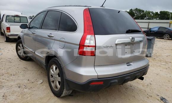 Buy New Honda CR–V Silver Car in Badagry in Lagos State Buy New Honda CR–V Silver Car in Badagry in Lagos State