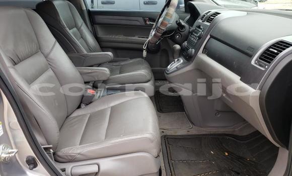 Buy New Honda CR–V Silver Car in Badagry in Lagos State Buy New Honda CR–V Silver Car in Badagry in Lagos State