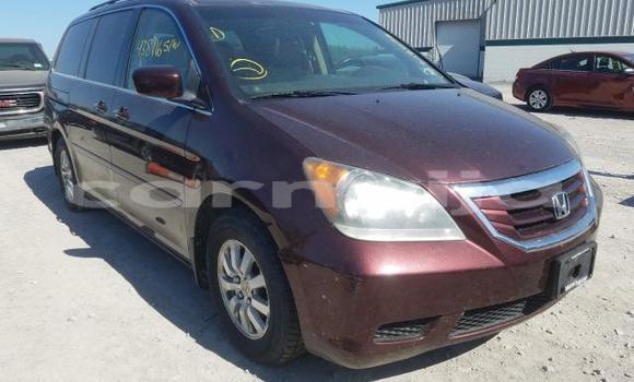 Acheter Neuf Voiture Honda Odyssey Rouge à Badagry, État de Lagos