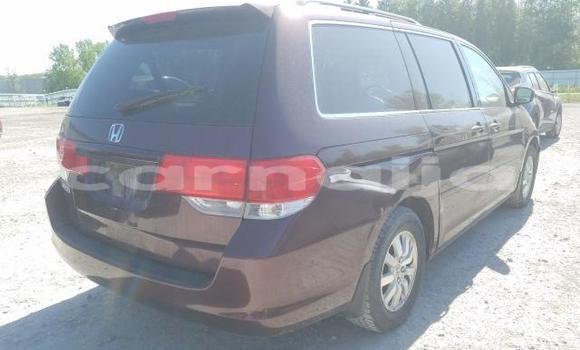 Acheter Neuf Voiture Honda Odyssey Rouge à Badagry, État de Lagos Acheter Neuf Voiture Honda Odyssey Rouge à Badagry, État de Lagos