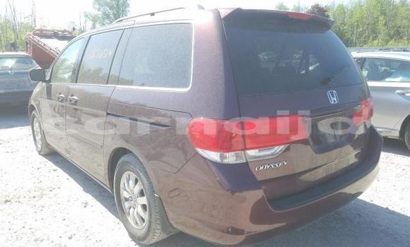 Acheter Neuf Voiture Honda Odyssey Rouge à Badagry, État de Lagos Acheter Neuf Voiture Honda Odyssey Rouge à Badagry, État de Lagos