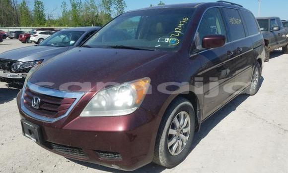 Acheter Neuf Voiture Honda Odyssey Rouge à Badagry, État de Lagos Acheter Neuf Voiture Honda Odyssey Rouge à Badagry, État de Lagos