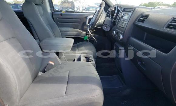 Acheter Neuf Voiture Honda Ridgeline Gris à Badagry, État de Lagos Acheter Neuf Voiture Honda Ridgeline Gris à Badagry, État de Lagos