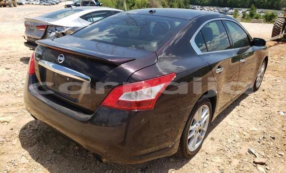 Acheter Neuf Voiture Nissan Maxima Autre à Badagry, État de Lagos Acheter Neuf Voiture Nissan Maxima Autre à Badagry, État de Lagos