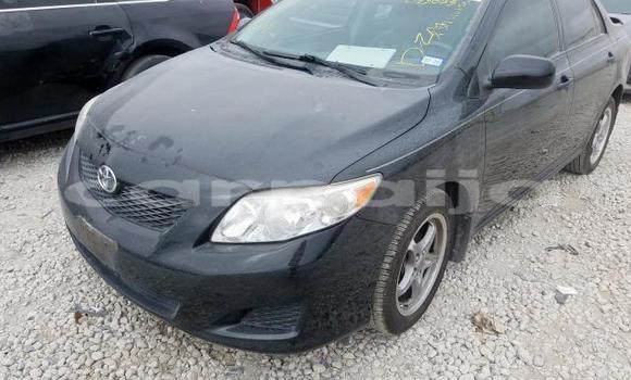 Buy Import Toyota Corolla Black Car in Daura in Katsina