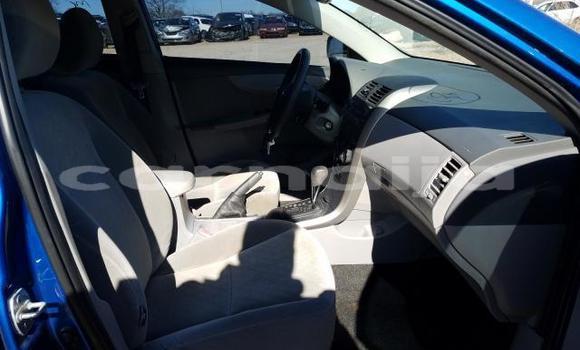 Buy Import Toyota Corolla Blue Car in Daura in Katsina Buy Import Toyota Corolla Blue Car in Daura in Katsina