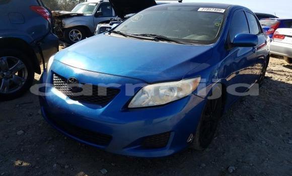 Buy Import Toyota Corolla Blue Car in Daura in Katsina Buy Import Toyota Corolla Blue Car in Daura in Katsina