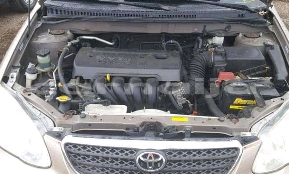 Acheter Import Voiture Toyota Corolla Autre à Daura, Katsina Acheter Import Voiture Toyota Corolla Autre à Daura, Katsina