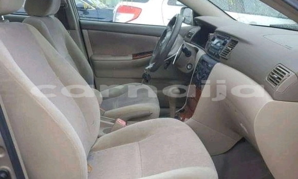 Acheter Import Voiture Toyota Corolla Autre à Daura, Katsina Acheter Import Voiture Toyota Corolla Autre à Daura, Katsina