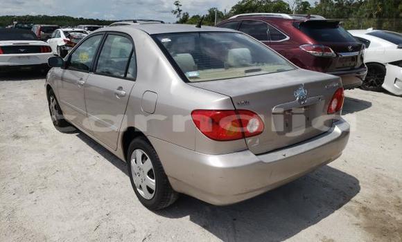 Acheter Neuf Voiture Toyota Corolla Marron à Badagry, État de Lagos Acheter Neuf Voiture Toyota Corolla Marron à Badagry, État de Lagos