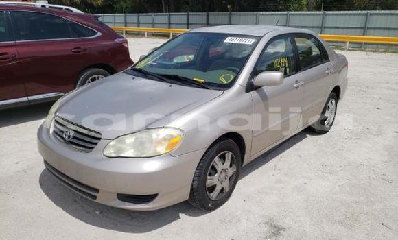 Acheter Neuf Voiture Toyota Corolla Marron à Badagry, État de Lagos Acheter Neuf Voiture Toyota Corolla Marron à Badagry, État de Lagos
