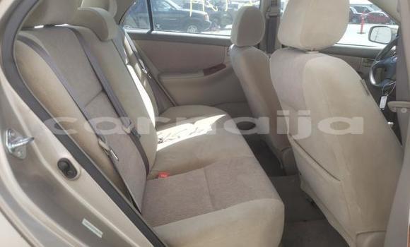 Acheter Neuf Voiture Toyota Corolla Marron à Badagry, État de Lagos Acheter Neuf Voiture Toyota Corolla Marron à Badagry, État de Lagos