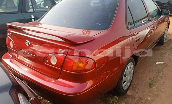 Acheter Import Voiture Toyota Corolla Marron à Daura, Katsina