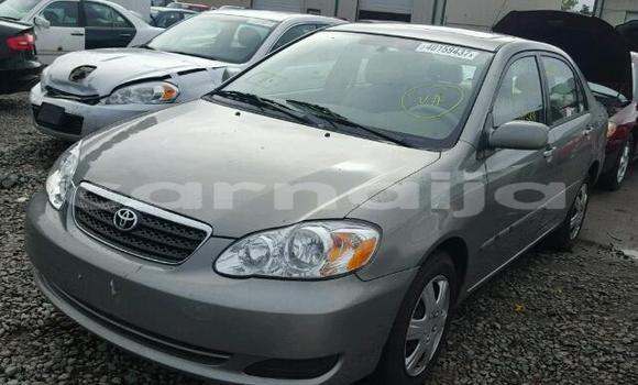 Buy Used Toyota Corolla Other Car in Lagos in Lagos State