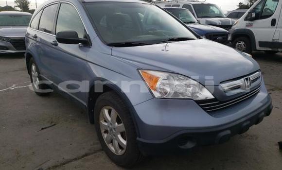 Buy New Honda CR–V Other Car in Lagos in Lagos State Buy New Honda CR–V Other Car in Lagos in Lagos State