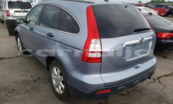 Acheter Neuf Voiture Honda CR–V Autre à Lagos, État de Lagos Acheter Neuf Voiture Honda CR–V Autre à Lagos, État de Lagos