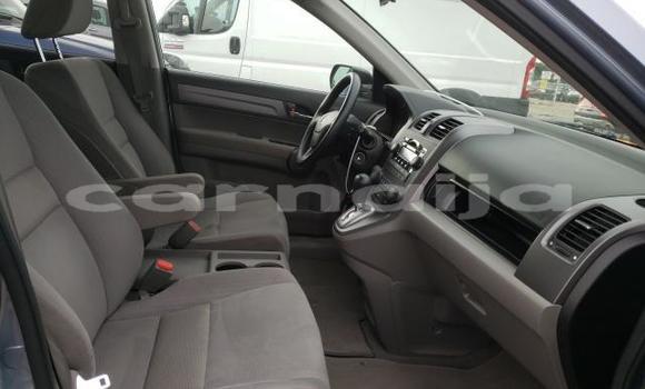 Acheter Neuf Voiture Honda CR–V Autre à Lagos, État de Lagos Acheter Neuf Voiture Honda CR–V Autre à Lagos, État de Lagos