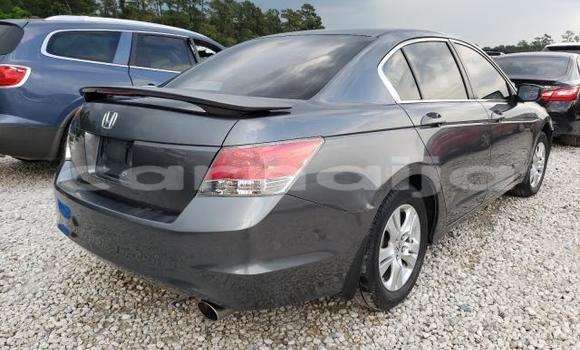 Buy New Honda Accord Other Car in Lagos in Lagos State Buy New Honda Accord Other Car in Lagos in Lagos State