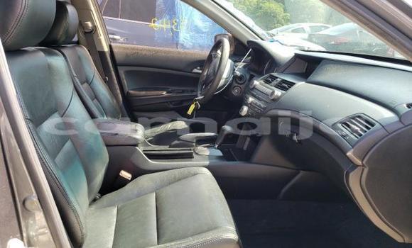 Buy New Honda Accord Other Car in Lagos in Lagos State Buy New Honda Accord Other Car in Lagos in Lagos State