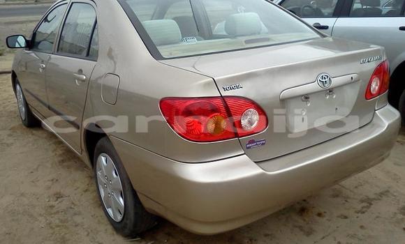 Acheter Neuf Voiture Toyota Corolla Blanc à Abuja, État de Lagos Acheter Neuf Voiture Toyota Corolla Blanc à Abuja, État de Lagos