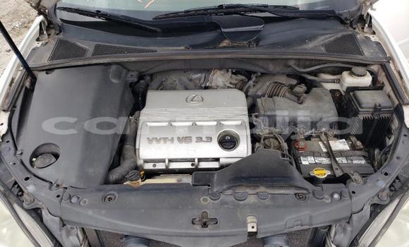 Buy New Lexus RX White Car in Lagos in Lagos State Buy New Lexus RX White Car in Lagos in Lagos State