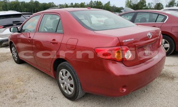 Acheter Neuf Voiture Toyota Corona Rouge à Badagry, État de Lagos Acheter Neuf Voiture Toyota Corona Rouge à Badagry, État de Lagos