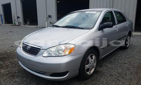 Buy New Toyota Corolla Other Car in Lagos in Lagos State