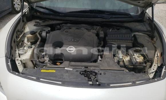 Acheter Neuf Voiture Nissan Maxima Blanc à Lagos, État de Lagos Acheter Neuf Voiture Nissan Maxima Blanc à Lagos, État de Lagos