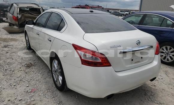 Acheter Neuf Voiture Nissan Maxima Blanc à Lagos, État de Lagos Acheter Neuf Voiture Nissan Maxima Blanc à Lagos, État de Lagos