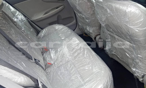 Acheter Import Voiture Toyota Corolla Bleu à Katsina, Katsina Acheter Import Voiture Toyota Corolla Bleu à Katsina, Katsina