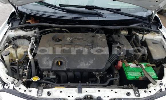 Buy Import Toyota Corolla White Car in Lagos in Lagos State