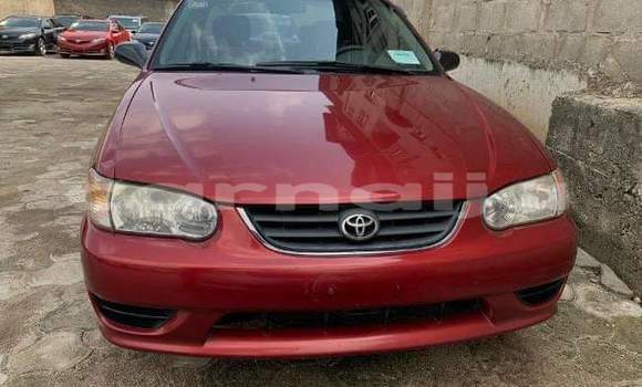Buy Used Toyota Corolla Red Car in Yenagoa in Bayelsa State Buy Used Toyota Corolla Red Car in Yenagoa in Bayelsa State